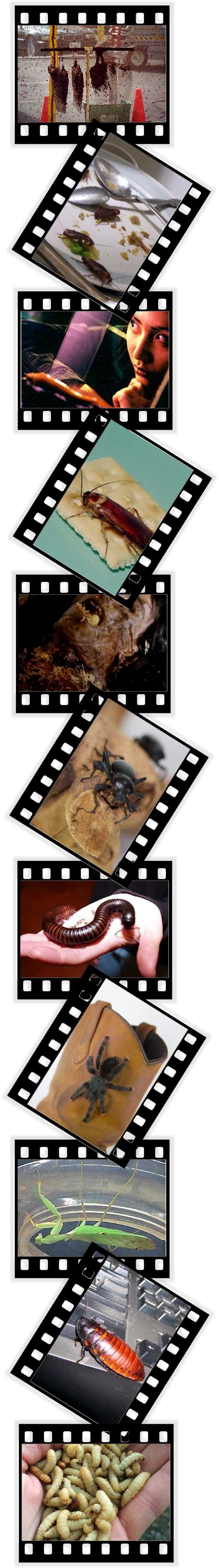 Critters On Set: Image