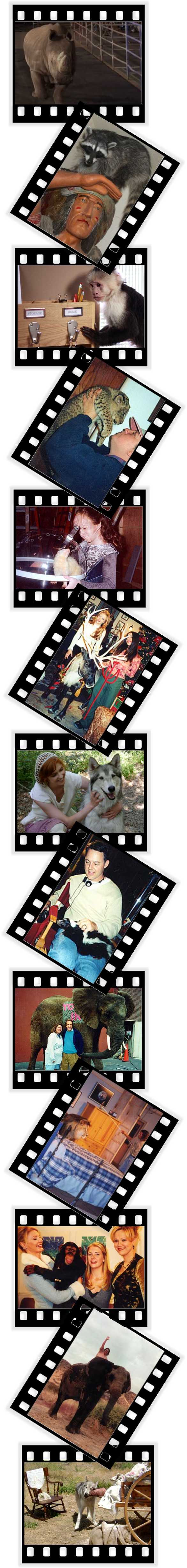 Exotics on Set: Image
